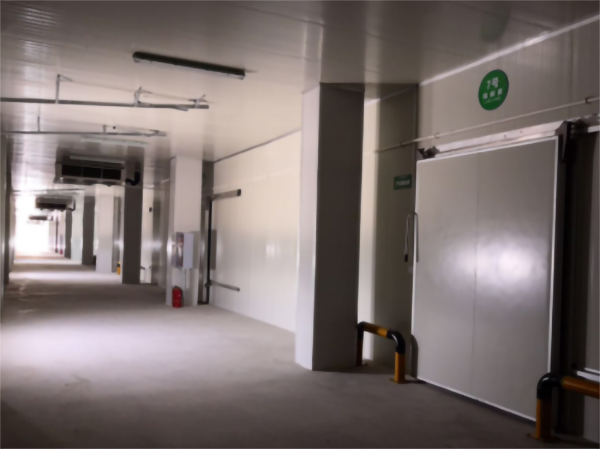 建一個5000立方香蕉冷藏冷庫大概要多少錢？