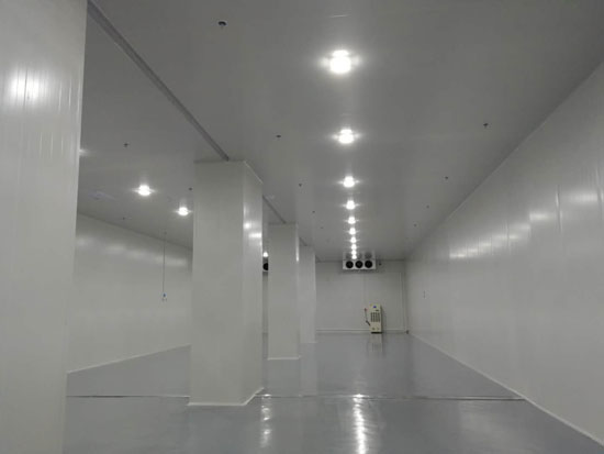 建設(shè)大型食品冷鏈物流冷藏庫(kù)費(fèi)用一般是多少？