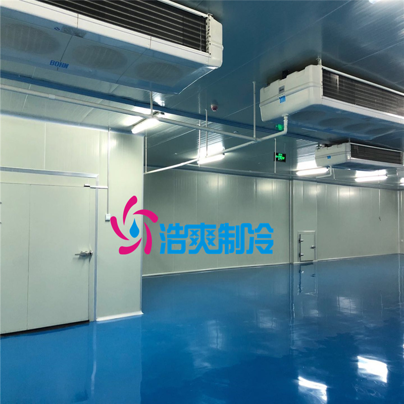 建造大型醫(yī)療冷藏庫所需要的費用價格是多少？