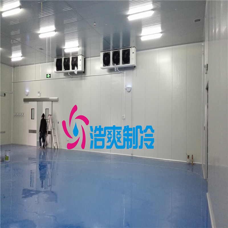 建設(shè)醫(yī)療冷藏庫(kù)的安裝標(biāo)準(zhǔn)有哪些？