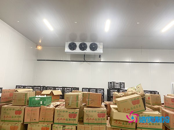 建設(shè)大型冷庫(kù)造價(jià)成本需要多少資金投入呢？