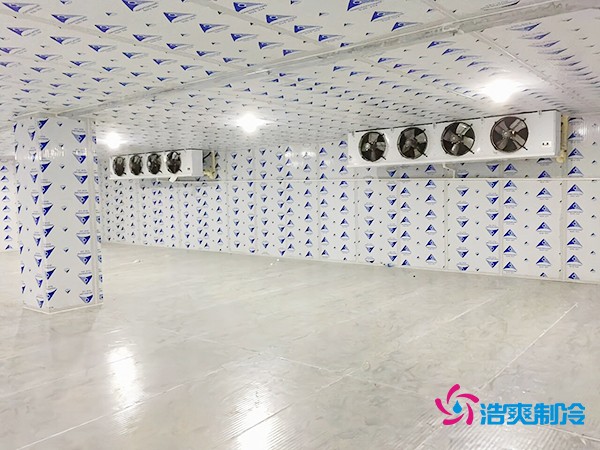 冷庫造價一平米如何計算？智能冷庫建造方案再降百元！