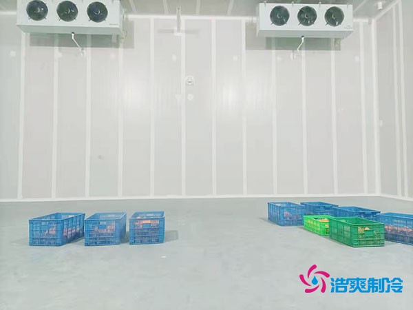 200噸蔬菜保鮮冷庫造價多少錢？需要多大面積？