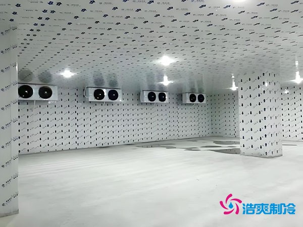 在市區(qū)建設一個100平方米的冷庫需要多少費用？