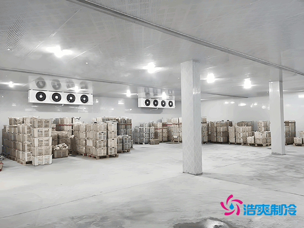 100平方米食品冷庫造價的詳細(xì)解析及專業(yè)建議