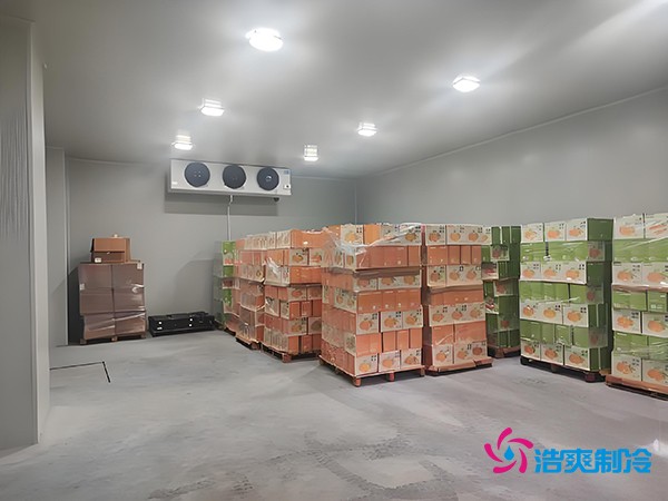 1000噸果蔬保鮮庫造價揭秘，節(jié)省成本就靠這幾點！