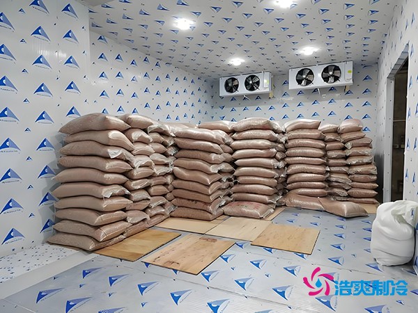 2萬起建種子冷庫？這些因素讓造價翻倍！