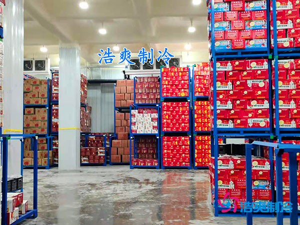 500平果蔬冷庫(kù)造價(jià)曝光！35萬(wàn)起建，省錢秘訣在這里！