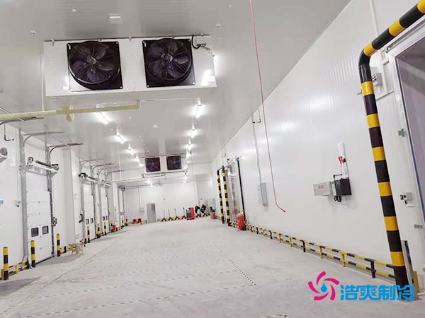 冷庫(kù)造價(jià)懸殊？揭秘每平米價(jià)格背后的秘密！