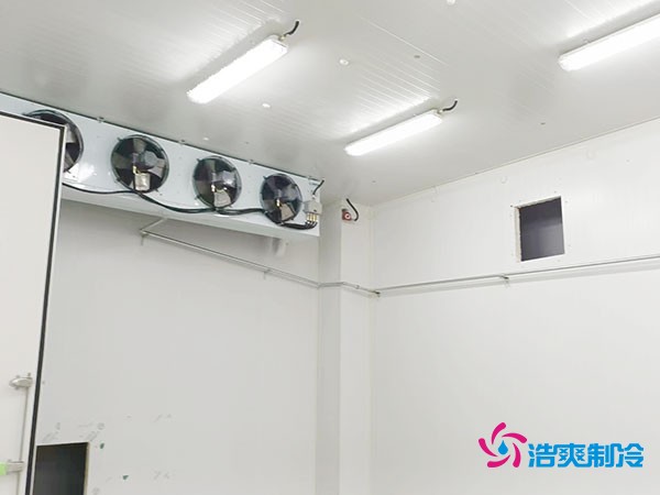 上海小型冷庫造價揭秘！2萬起真的靠譜嗎？