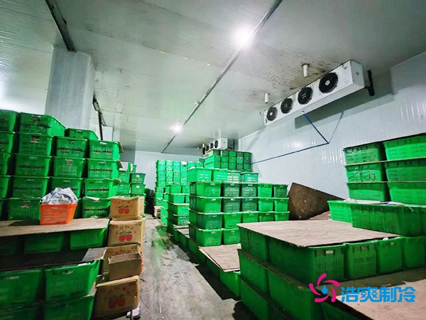 水果保鮮冷庫建造價格每平米多少錢？