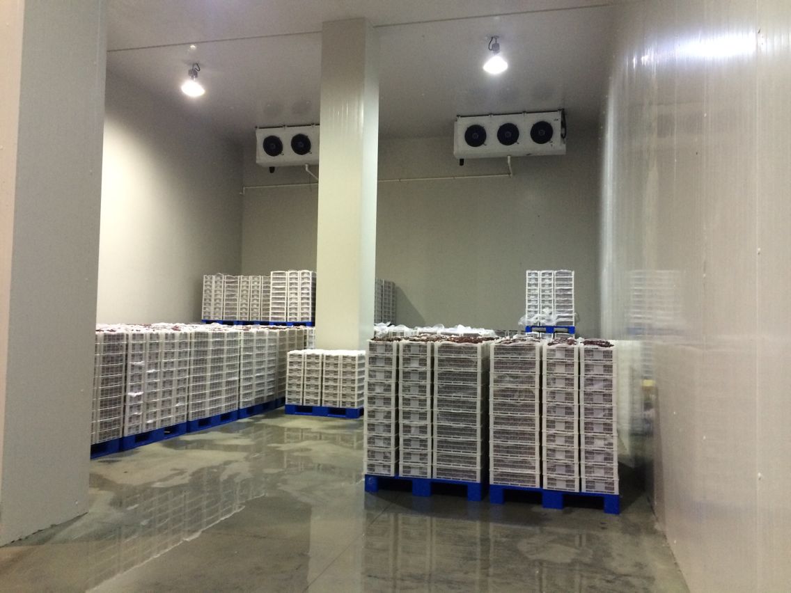 2000噸水果冷庫，冷庫安裝費(fèi)用多少