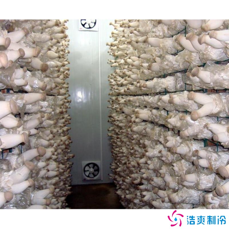 蘑菇冷庫建造成本多少錢，蘑菇冷藏方法哪些