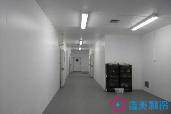 預建1000噸果蔬冷庫設計規(guī)劃，冷庫價格多少錢