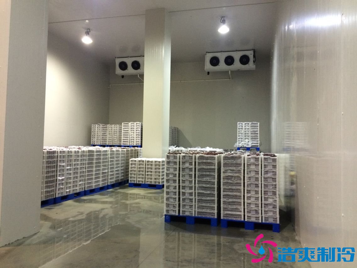 上海建1000㎡茶葉冷庫（冷藏、冷凍庫倉庫）安裝預算多少錢