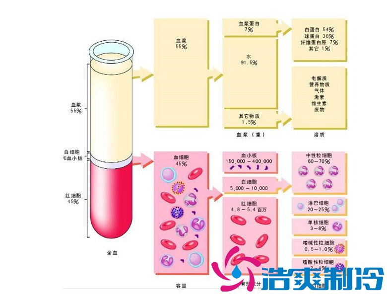 -30℃～-80℃血漿蛋白低溫冷凍庫規(guī)范，冷庫安裝價(jià)格