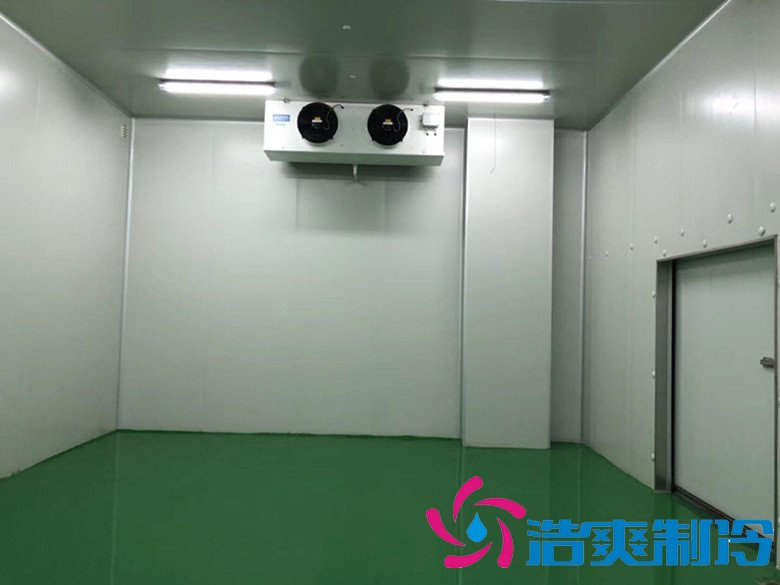 醫(yī)療冷庫的安裝標(biāo)準(zhǔn)，2-8℃生物制品冷庫安裝制冷設(shè)備造價 冷庫內(nèi)景圖片