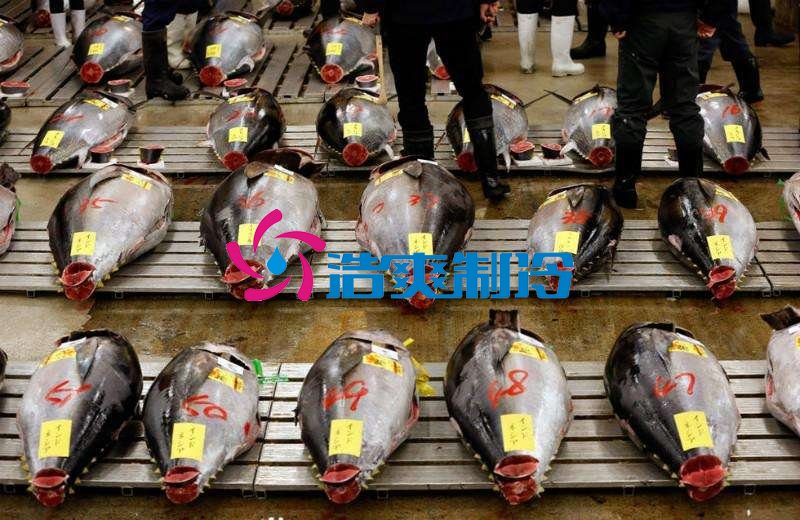 浩爽制冷，金槍魚冷庫，超低溫冷凍庫
