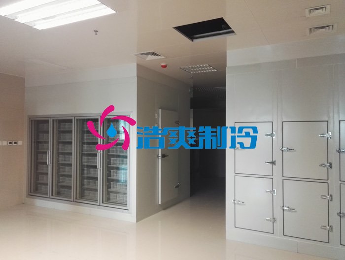 浩爽制冷，后補式疫苗冷庫