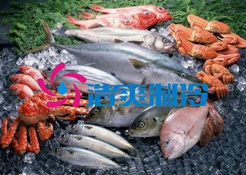 浩爽制冷，海鮮冷凍庫、食品冷凍庫
